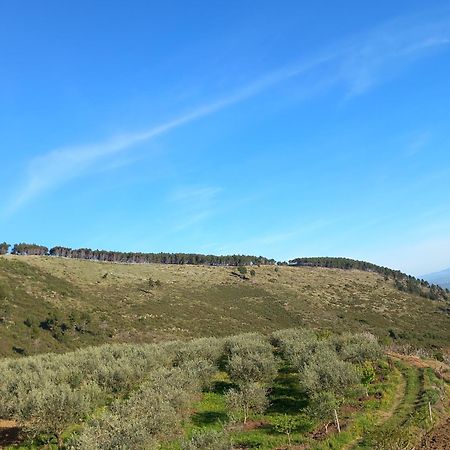 Vila Dean Berat Exteriér fotografie