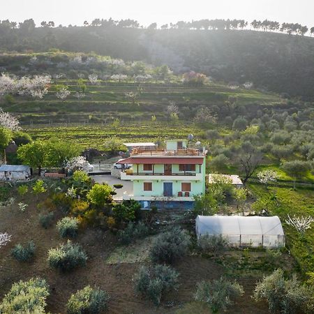 Vila Dean Berat Exteriér fotografie