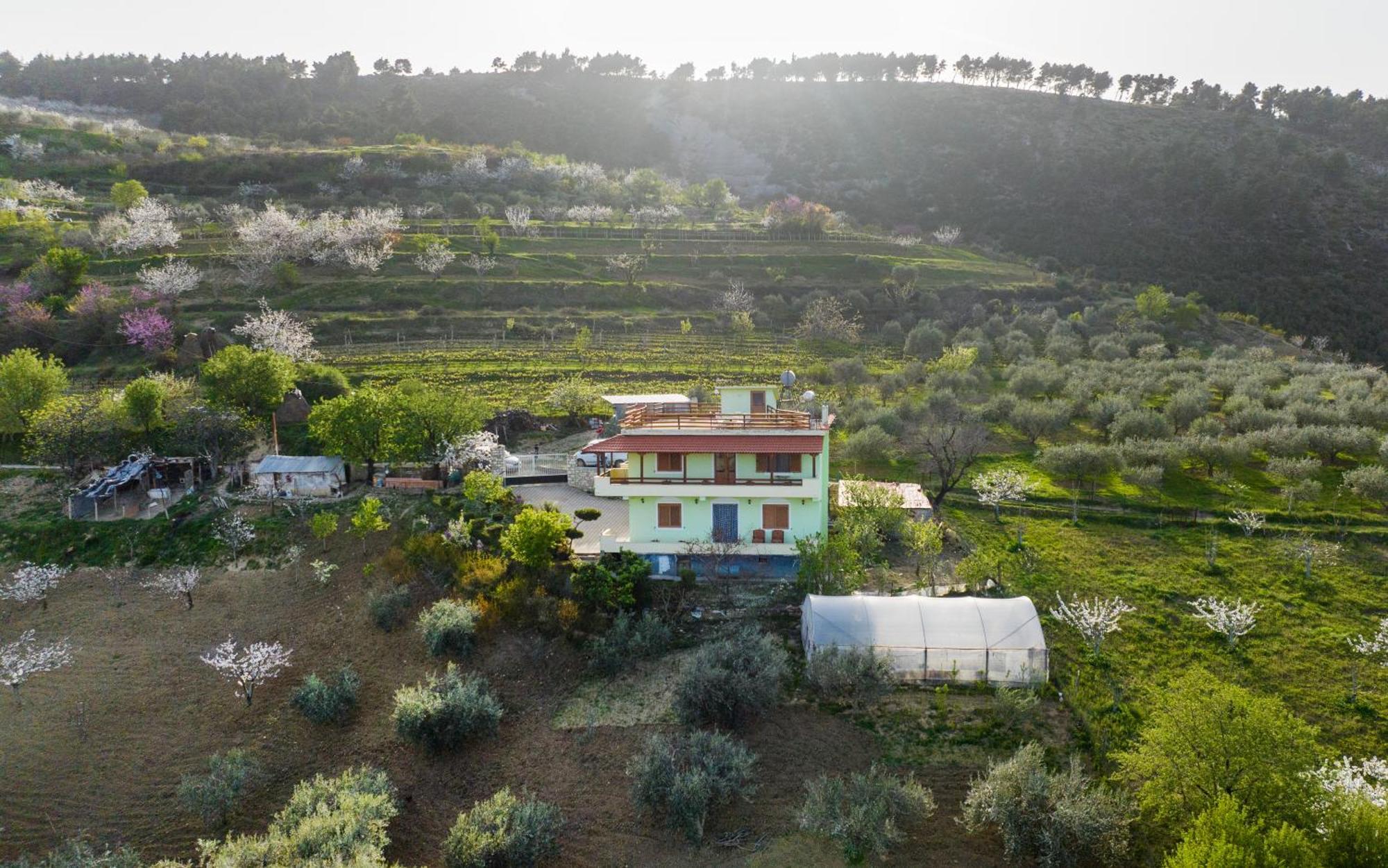 Vila Dean Berat Exteriér fotografie