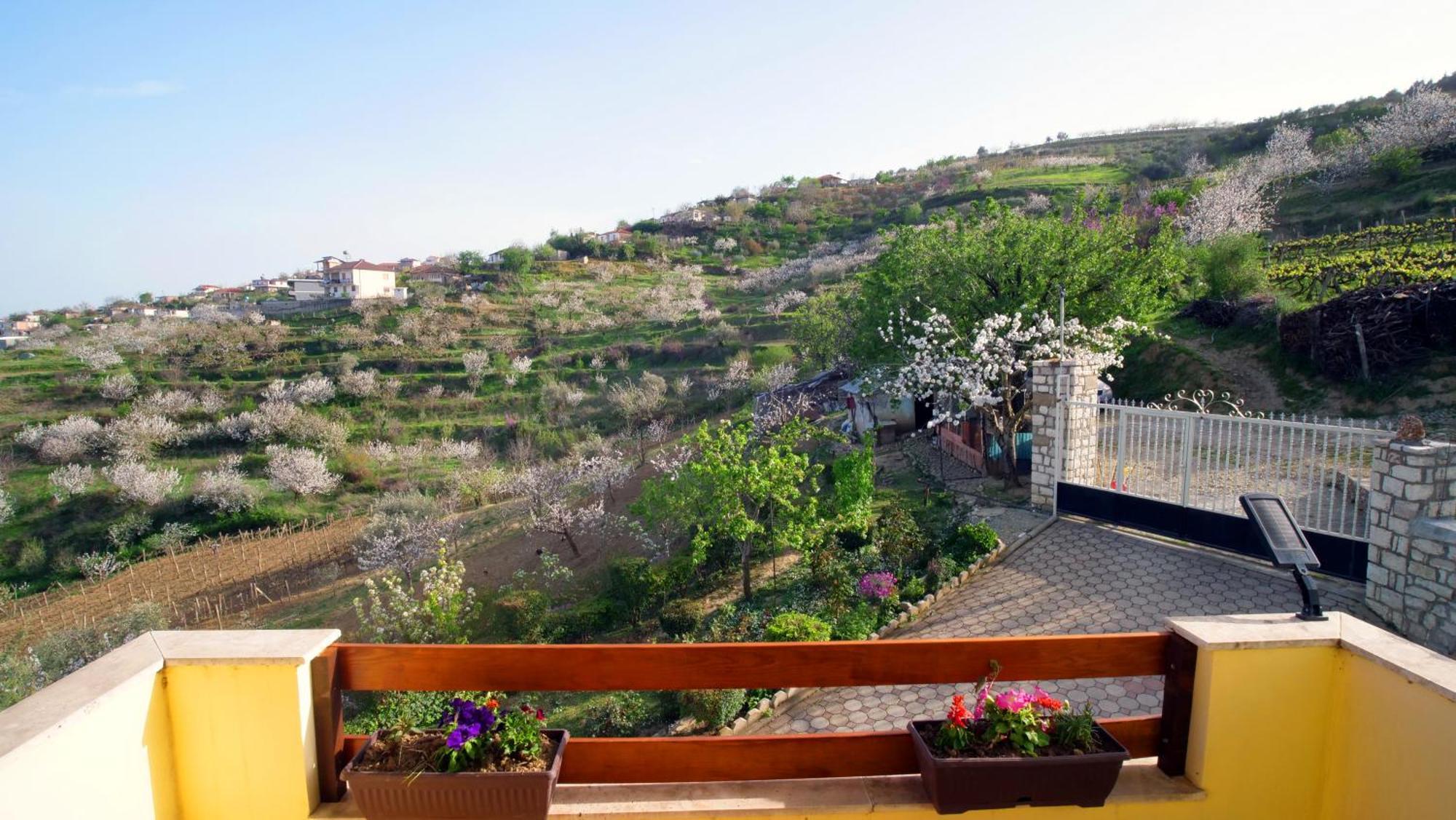 Vila Dean Berat Exteriér fotografie