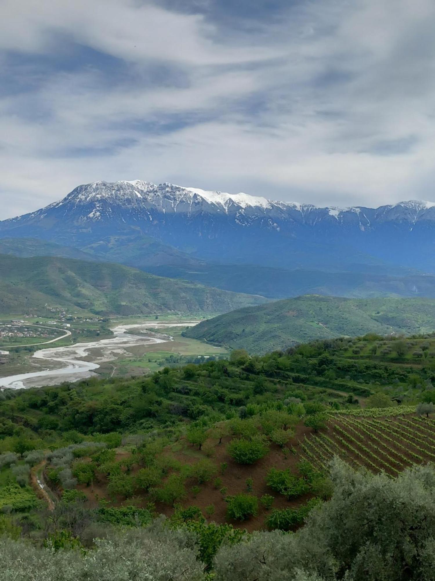 Vila Dean Berat Exteriér fotografie