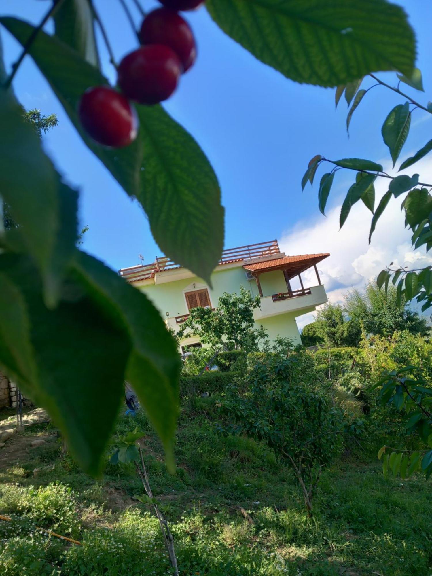 Vila Dean Berat Exteriér fotografie