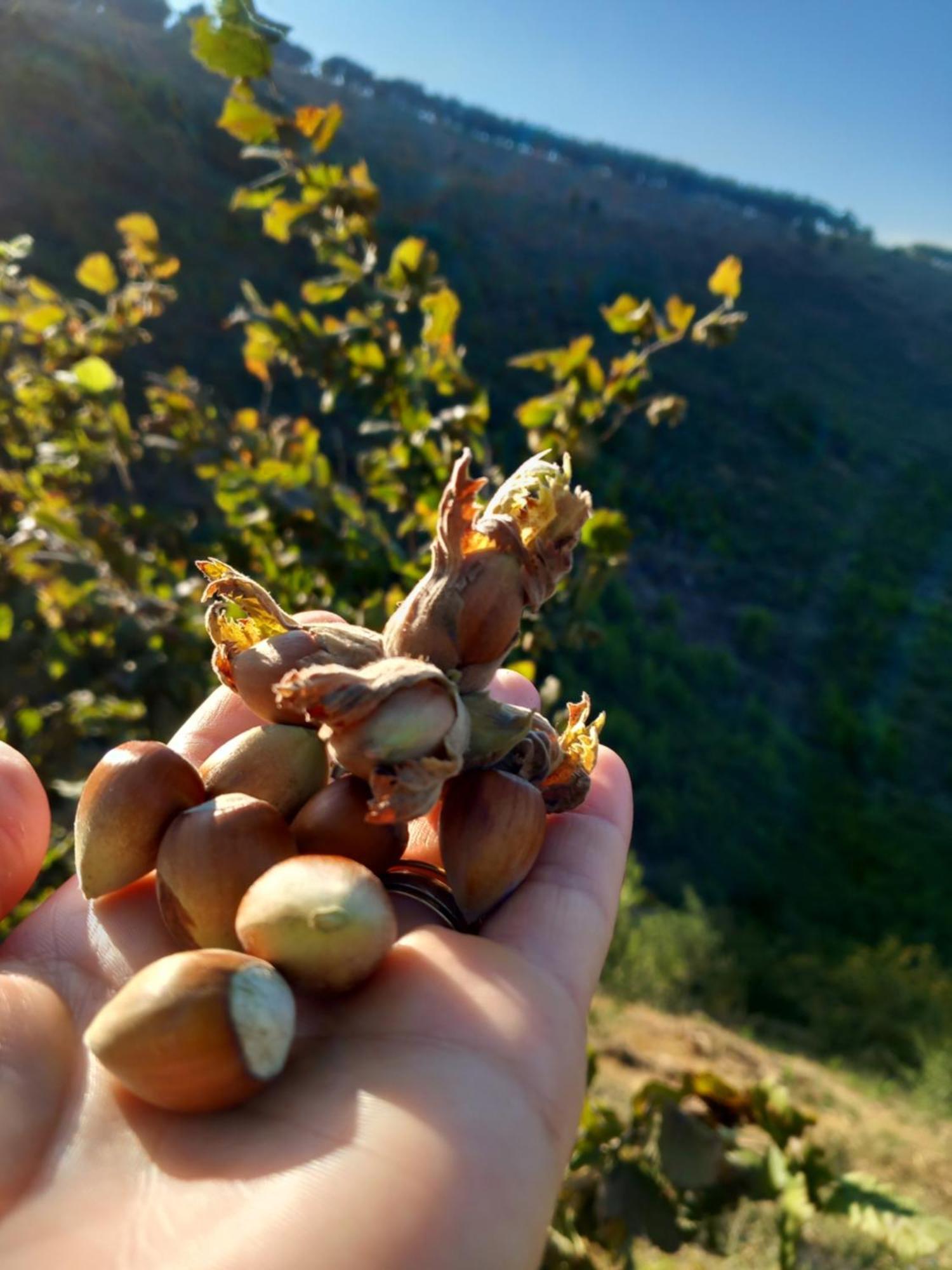 Vila Dean Berat Exteriér fotografie