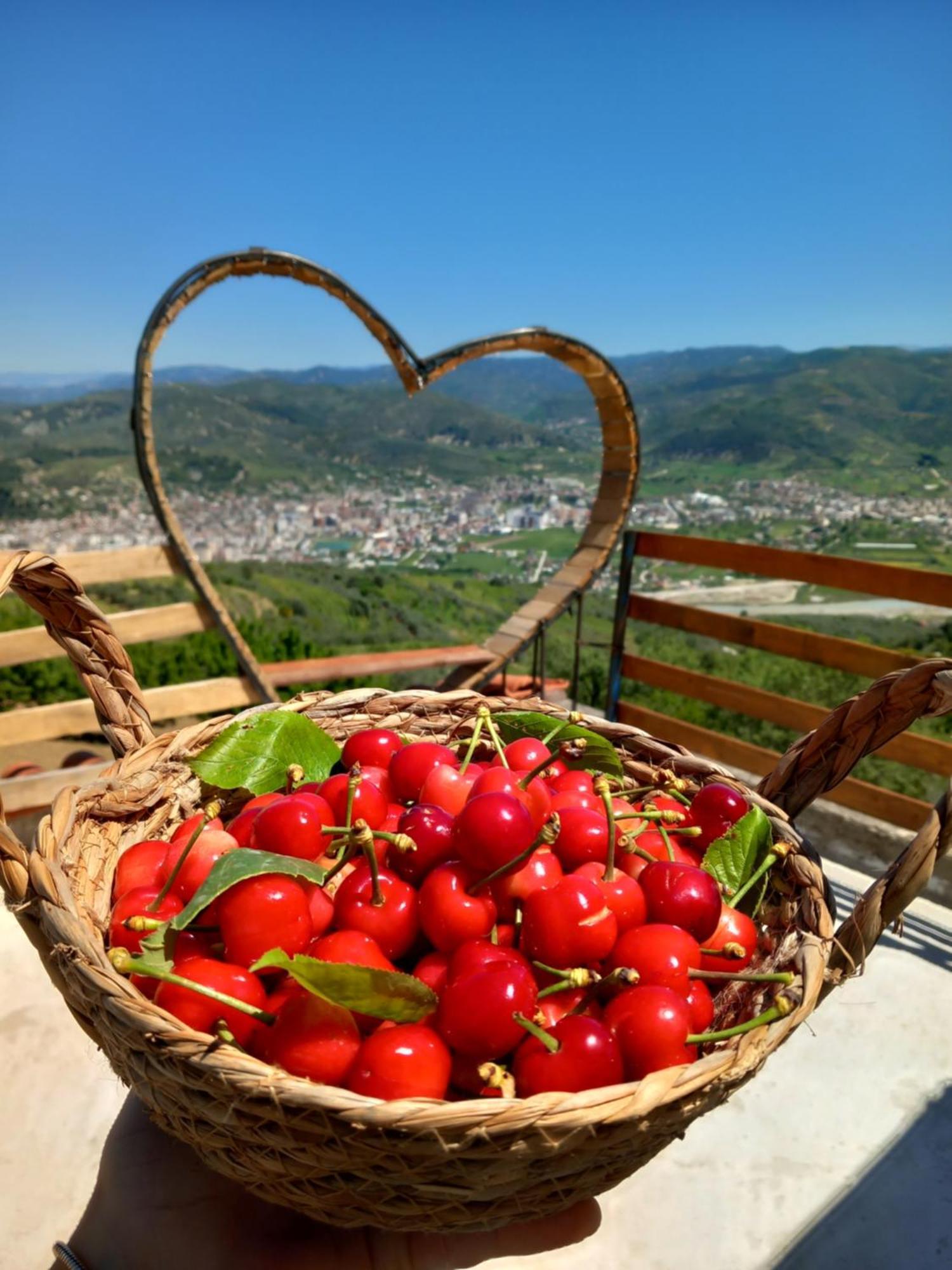 Vila Dean Berat Exteriér fotografie